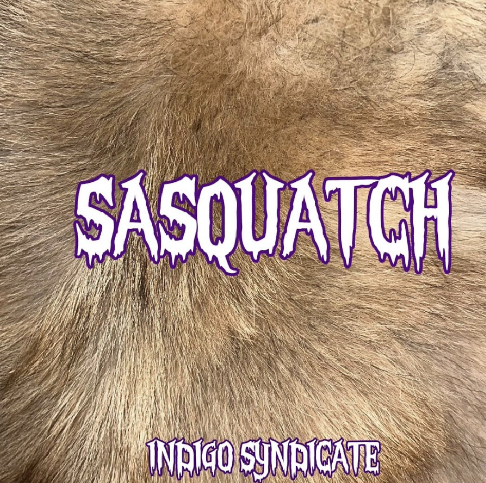 Indigo Syndicate unveils immersive yet expansive debut album ‘Sasquatch’