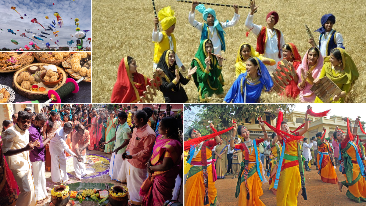 From Lohri to Pongal, How India marks the harvest festival in different ways