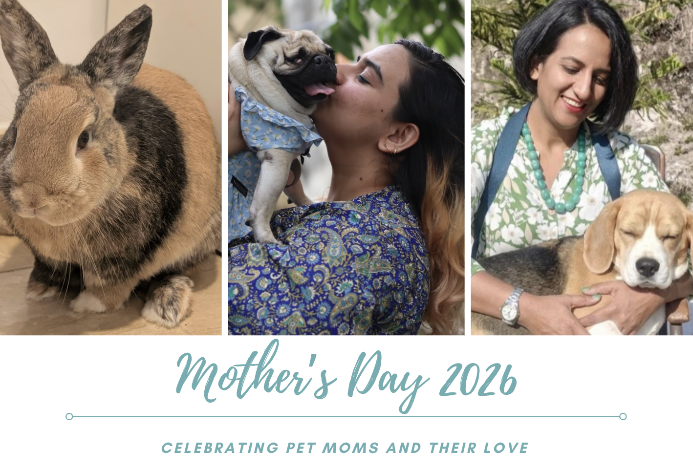 Mother's Day 2026 : To be a pet mum - a bond beyond explanation