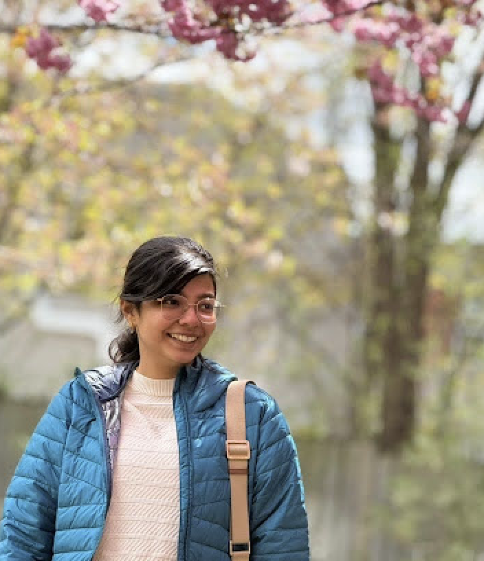 Monthly Muse : Artist and illustrator Divya Sanchana Ananth on curiosity and creativity