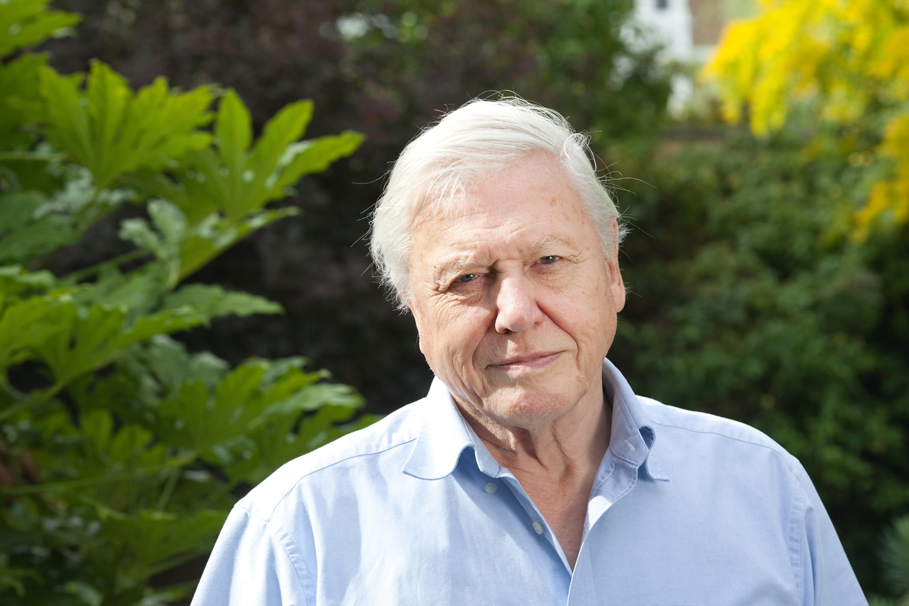 At 100, David Attenborough Remains The World’s Most Trusted Voice For Nature